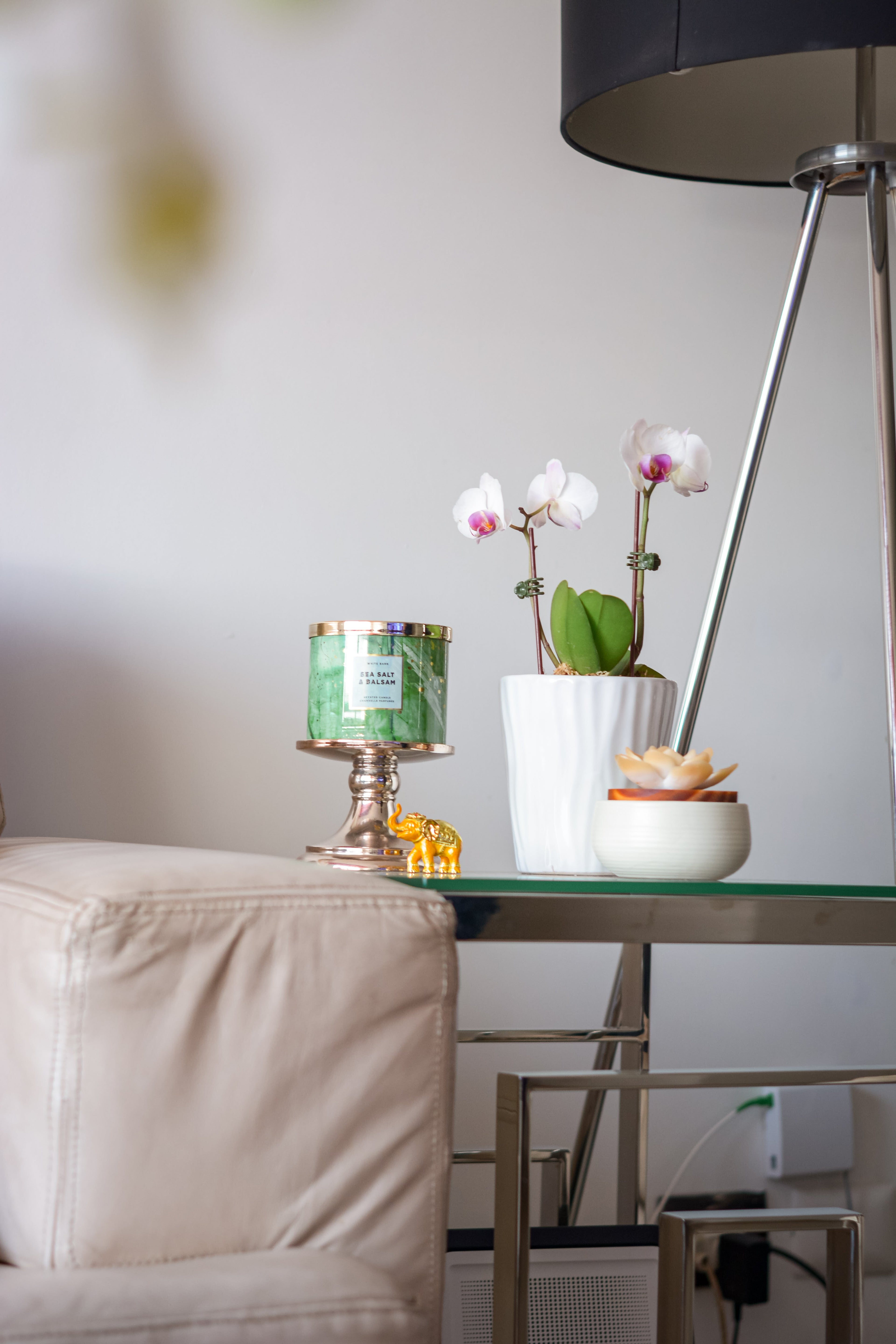 Mini orquídea en Pueblo Libre