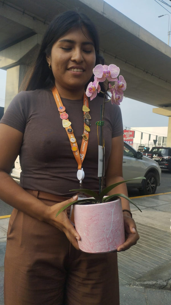 Cliente de ORKIDEA con su orquídea