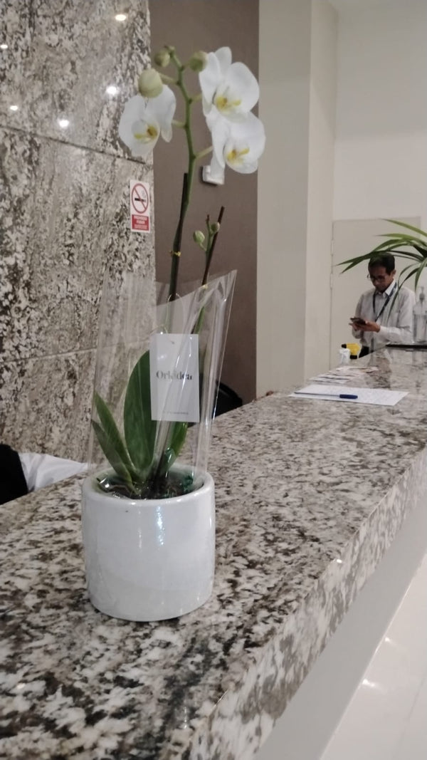 Cliente de ORKIDEA con su orquídea