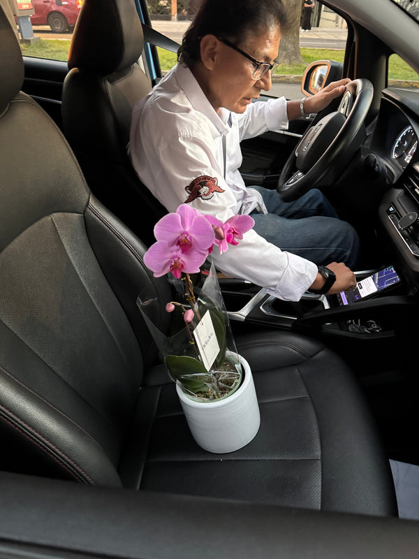 Cliente de ORKIDEA con su orquídea