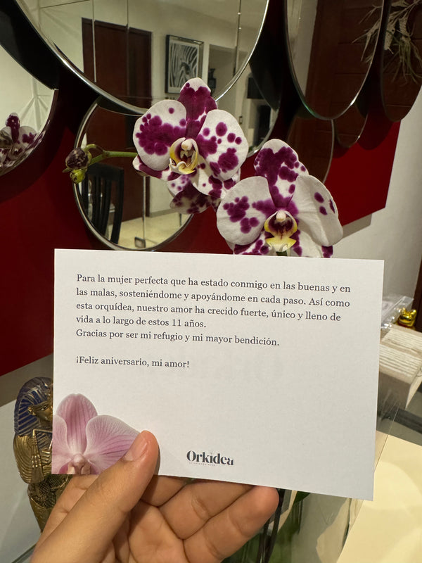 Cliente de ORKIDEA con su orquídea