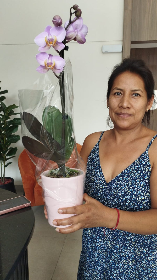 Cliente de ORKIDEA con su orquídea